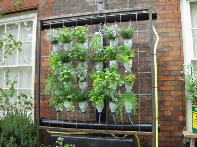 DIY Garden Hanging Pots